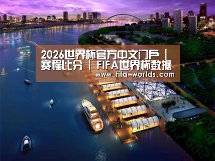 案例展示八