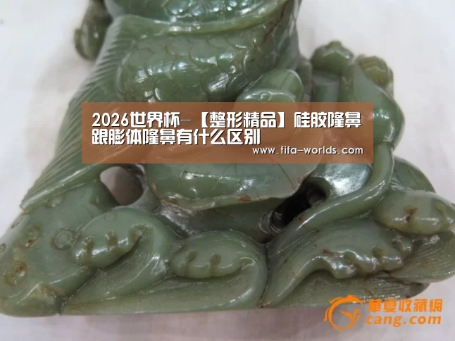 2026世界杯-【整形精品】硅胶隆鼻跟膨体隆鼻有什么区别(图2) FIFA世界杯
