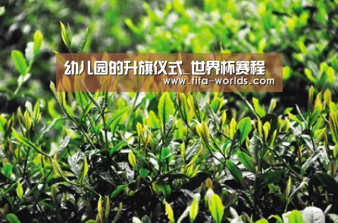 幼儿园的升旗仪式_世界杯赛程(图1) 2026世界杯