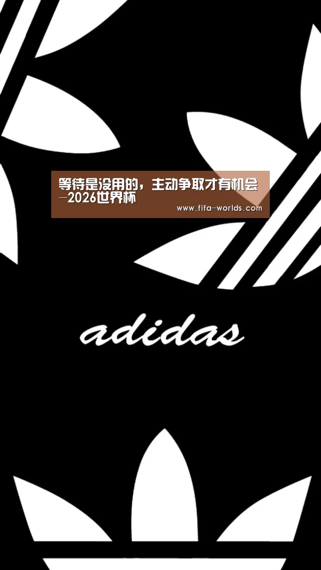 等待是没用的,主动争取才有机会-2026世界杯(图2) 2026世界杯