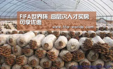 FIFA世界杯_高层次人才买房可享优惠(图2) 球队资讯