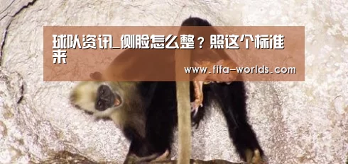 世界杯赛程