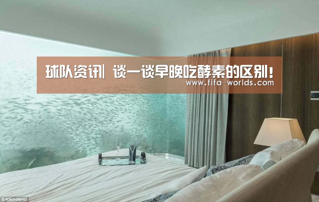 球队资讯|
谈一谈早晚吃酵素的区别!(图2) 球队资讯